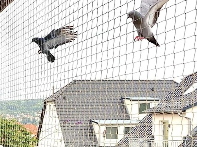 Pigeon Nets for Balconies In Hyderabad