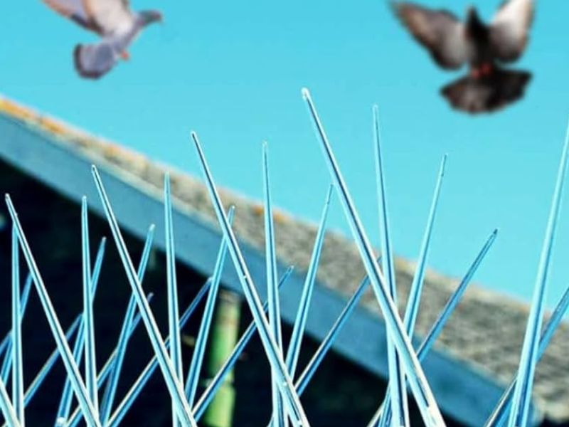 Bird/Pigeon Spikes In Hyderabad